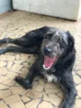 Jack