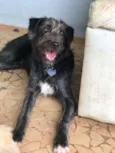 Jack