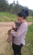 Teddy/ Pingo