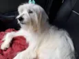 Mili