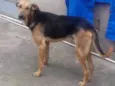 Zeus