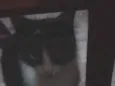 Mag