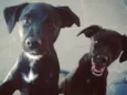 Luke e Milly