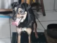 LALA