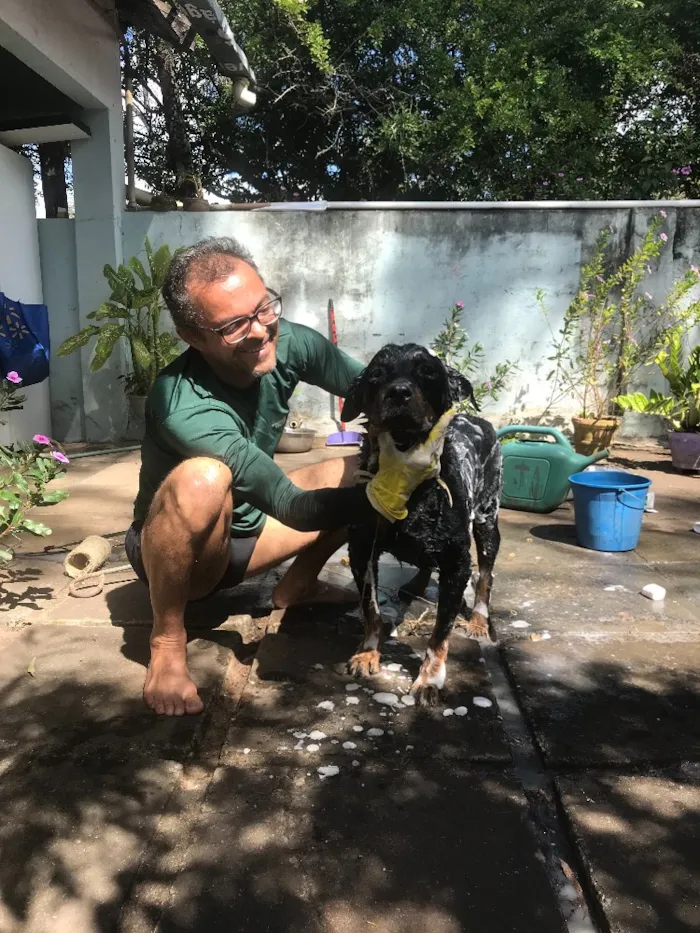 Cachorro raça Roteweiller idade 6 ou mais anos nome Kali
