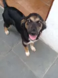 Belinha