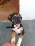 Belinha