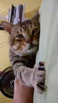 Zé