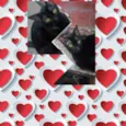 Amorá