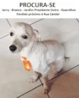 Jerry