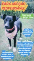 Princesa