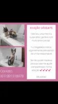 Penélope 