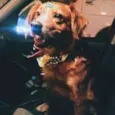 Marley