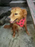 Marley