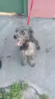 COTOCO