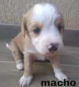 não possuem nomes