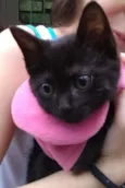 Nina
