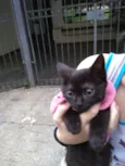 Nina