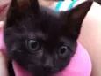 Nina