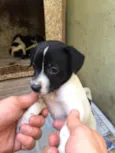 Indefinido