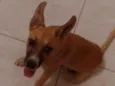 Billu