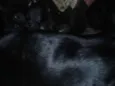 não tem nome por enq