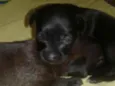 não tem nome por enq