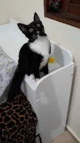 Filho GRATIFICA