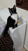 Filho GRATIFICA