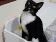 Filho GRATIFICA