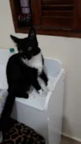 Filho GRATIFICA
