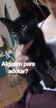 Tição