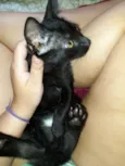 Odin e Mika