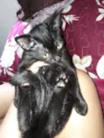 Odin e Mika
