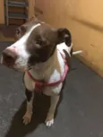 Kira