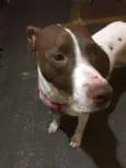 Kira