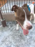 Kira