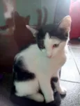 Não tem nomes