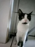 Não tem nomes