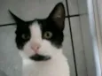 Não tem nomes