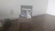 Gatinhos