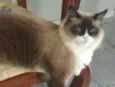Príncipe