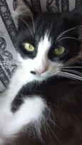 Mel 