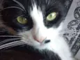 Mel 