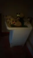 Não tem