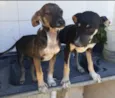 Lili e Lila