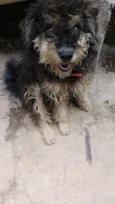 Bob