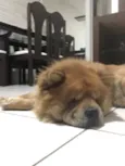 Rubi