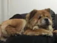 Rubi