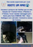 Adote